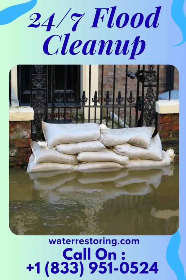 24/7 Flood Cleanup in Ivey, GA